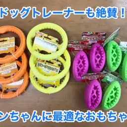 【ワンちゃんおもちゃ紹介】すでに爆売れ！ドッグトレーナーも欲しがる最高のおもちゃが新登場！☆フルーツラグビーボール＆リング☆のご紹介！