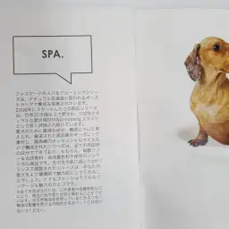 【Fuzzyard】:衝撃!オーガニックシャンプーの決定版登場!:白楽店トリミング通信Vol.7