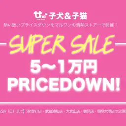 【スーパーセール6店舗追加開催!】港北NT店・武蔵浦和店・大倉山店・鶴見店・相模大塚店・下丸子店!