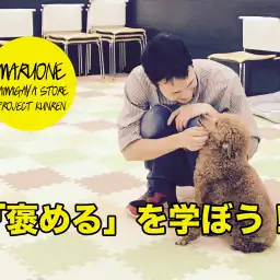 【ワンコのしつけ】効果的なワンちゃんの「褒め方」を学ぼう！：鎌ヶ谷店PROJECT KUNREN Vol.5