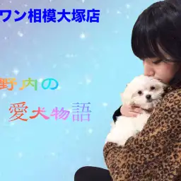 【愛犬物語】相模大塚店スタッフの愛犬物語第3弾！〜木野内＆モカ、ラテ編〜