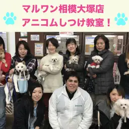 【11/30しつけ教室】マルワン×アニコム合同イベント!相模大塚店レポート冬の陣!