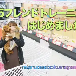 【新サービス】125フレンドトレーニングでわんこの犬馴れをサポート!:大倉山店SUPPORT INFORMATION