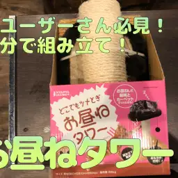 【猫グッズ】猫ユーザーさん必見！二分で組み立て！お昼寝タワー★白楽店おすすめ商品♪