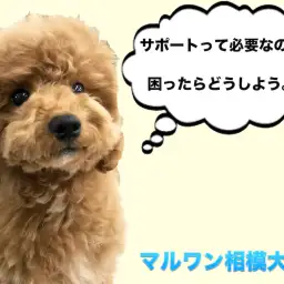 【お役立て情報】飼い主様サポートの必要性と重要性。安心が幸せへの第一歩！：マルワン相模大塚店