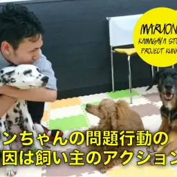 【 わんこのしつけ 】ワンちゃんの問題行動の原因は飼い主さんのアクション!? プロジェクト訓練 VOL.15 マルワン鎌ヶ谷店 (千葉県鎌ケ谷市)