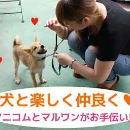 【大倉山店サポート】毎月開催実施中!愛犬と楽しく仲良く過ごせるようにアニコムとマルワンがコラボでお手伝い!!効果テキメンのパピー教室!:ペットショップマルワン大倉山店|サポート情報