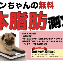 【 9.22大倉山店FESTIVAL開催！情報その1 】「 ワンちゃんの無料体脂肪測定会」で健康チェック！〜アニコム損保協力〜 ペットショップマルワン大倉山店フェス開催！ペティアポイントも2倍！