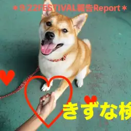 【 9.22大倉山店フェスレポート其の1 】愛は何よりも強し!ドキドキの「きずな検定編」