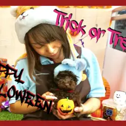 【 無料フォトスタジオのお知らせ 】大倉山店にご利用無料のハロウィーンブース出現!みんなで映えっちゃいましょ♥