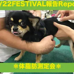 【9.22大倉山店フェスレポート其の2】約半数のワンちゃんが肥満体型?!愛犬の適正体型ってご存知ですか?「体脂肪測定編」
