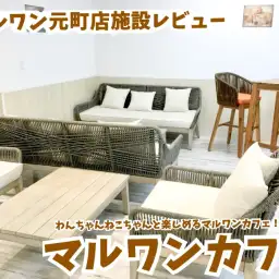 【 元町店施設情報  】わんちゃんねこちゃんと楽しめるマルワンカフェ!