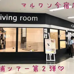 【 今宿店店舗ツアー 】ペットにも人にも優しい愛情たっぷりの今宿店をご案内！
