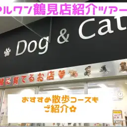 【 マルワン鶴見店紹介ツアー 】おすすめの散歩コースもご紹介!!