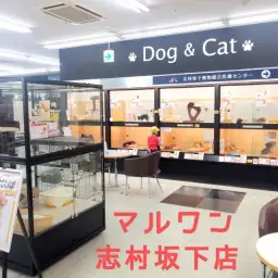 【 店舗紹介 】東京・板橋区のオリンピック志村坂下店は魅力がいっぱい！！