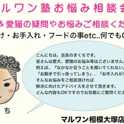 【 マルワン塾相談室 】店長菊池へご相談コーナー！ペットの疑問を解決Vol.1