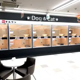 【 新店舗紹介 】10/4マルワン19番目の店舗!マルワン東川口店オープン!!