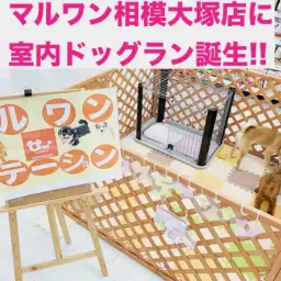 【 ドッグラン 】相模大塚店が進化！マルワンステーションの3つの魅力！