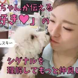 【 トイ・プードル 】ワンちゃんの「好き♥」のシグナルを理解してもっと仲良し!