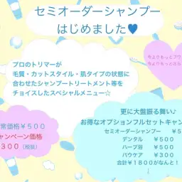 【 元町トリミング 】セミオーダーシャンプー始めました!