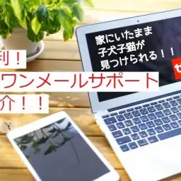 【 お役立て情報 】便利！”お家にいたまま”気になる子犬子猫を探せます！！