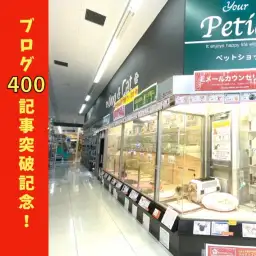 【 大倉山店特別号 】ブログ400記事突破記念！最新オリジナルサポート内容公開！