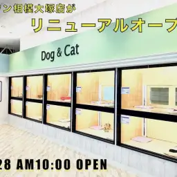 【 店舗紹介 】6周年を迎えた相模大塚店が生まれ変わってリニューアルオープン！