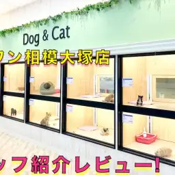 【 店舗紹介 】相模大塚店のスタッフをご紹介♪ペットとの馴れ初めもお話!