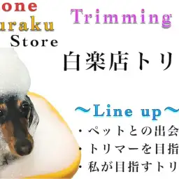 【 スタッフ紹介 】様々なサービスを展開する白楽店のスタッフをご紹介!トリマー編