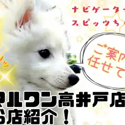 【 店舗紹介 】トータルペットサービスが充実！マルワン高井戸店！