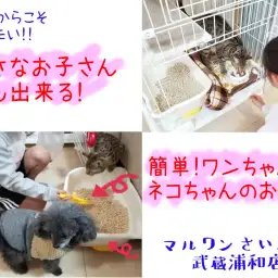 【 お役立て 】小さなお子さんでも出来る!簡単な子犬・子猫のお世話の仕方!!