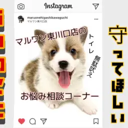 【 子犬を迎えたら 】トイレ＆分離不安予防/お迎えから10日間守って頂きたいルール解説