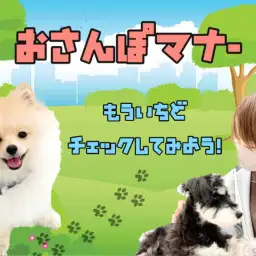 【 お散歩マナー 】愛犬の身は飼い主様が守ろう！いつものお散歩を振り返ってチェック！