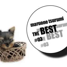 【 鶴見店BEST#03 】わんにゃん最新情報！6/23版「ごはん」其の一