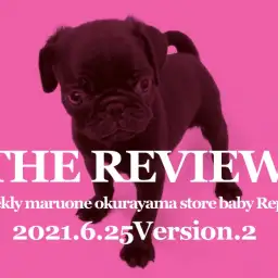 【 大倉山THE REVIEW #04 】6/25版わんにゃんこ速報!PART2