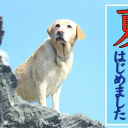 【 商品紹介 】マルワン横浜白楽店よりおすすめ夏グッズをご紹介！