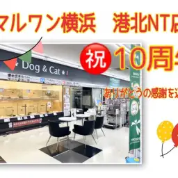 【 イベント情報 】マルワン横浜 港北NT店 皆さまに愛されておかげさまで10周年！