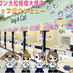 【 スタッフ紹介 】マルワン大和相模大塚店のスタッフはこんな人達です!