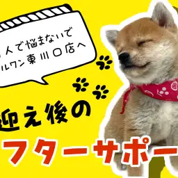 【 マルワン東川口店NMTサポート 】楽しいワンライフをお届け!遠方の方も安心!