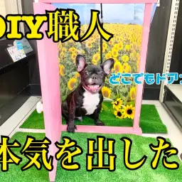 【 5/27映えスポット 】DIY番長が本気を出してきたの巻！