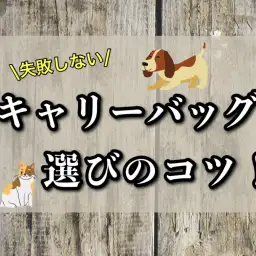【 グッズ紹介 】おでかけや通院に必須なキャリーバッグ選びのポイントをご紹介！