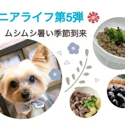 【 お役立て情報 】暑い季節到来!食事サポートで乗り切っちゃおう