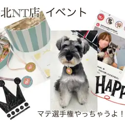 【 イベント情報  】日頃の成果でウチの子自慢をしちゃいましょう！