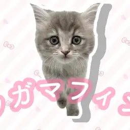 【 ラガマフィン 】超絶美形のラガマフィンの女の子が東川口店に登場!