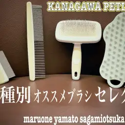 【 神奈川ペットライフ 】愛犬の手入れグッズの選び方!犬種別オススメブラシ紹介!