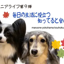 【 お役立て情報 】シニアライフ第9弾！毎日の生活に役立つ知ってると安心