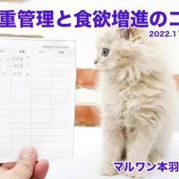 【 体重管理の重要性 】毎日行う体重管理野重要性と食欲増進のコツ