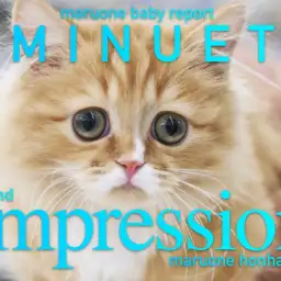 【 ミヌエット 】生後4ヶ月の成長記録！驚異の超ド短足は健在！