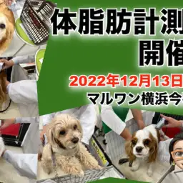 【 今宿店イベント情報 】12/13(火)ワンちゃんの体脂肪計測会のお知らせ!
