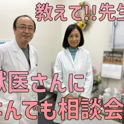 【 無料相談会 】教えてナイスボイス先生！獣医さんに気軽に相談！